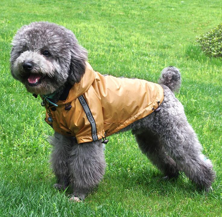 Dog Raincoat with Fleece Lining - Trendha