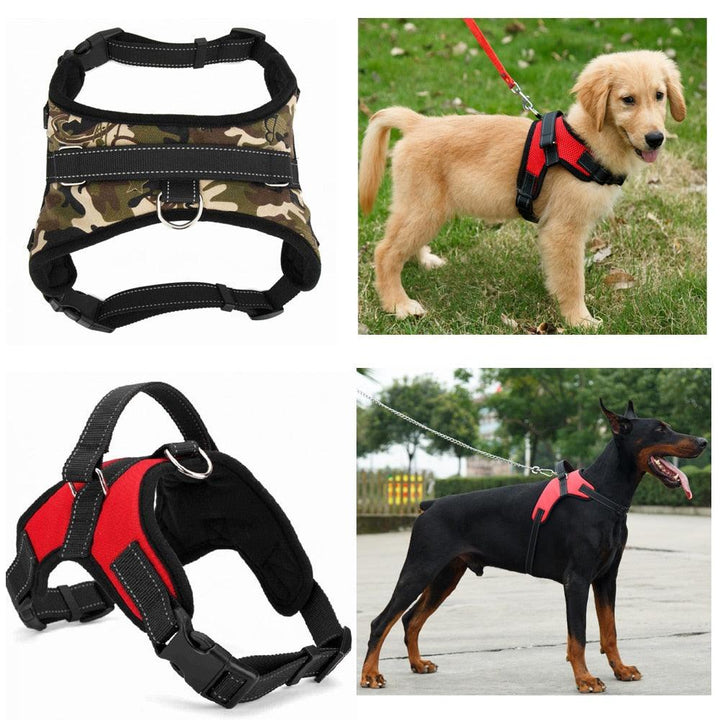 Dog's Casual Nylon Harness - Trendha