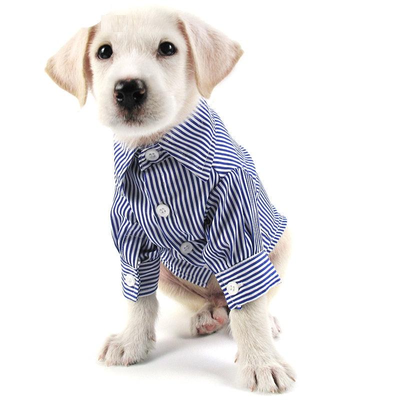 Dog's Casual Striped Shirt - Trendha