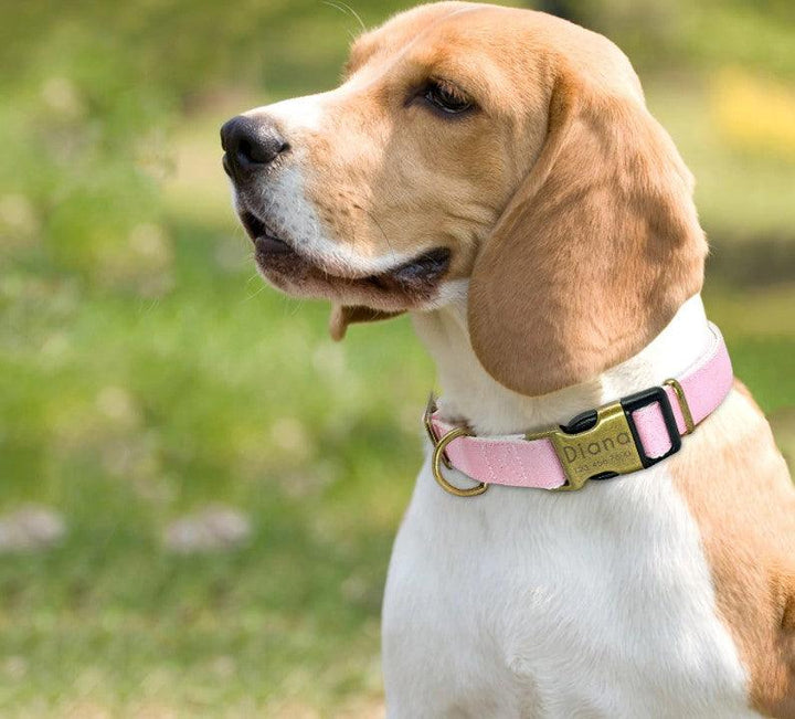 Dog's Pastel Color Collar - Trendha