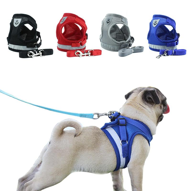 Dog's Reflective Harness with Leash - Trendha