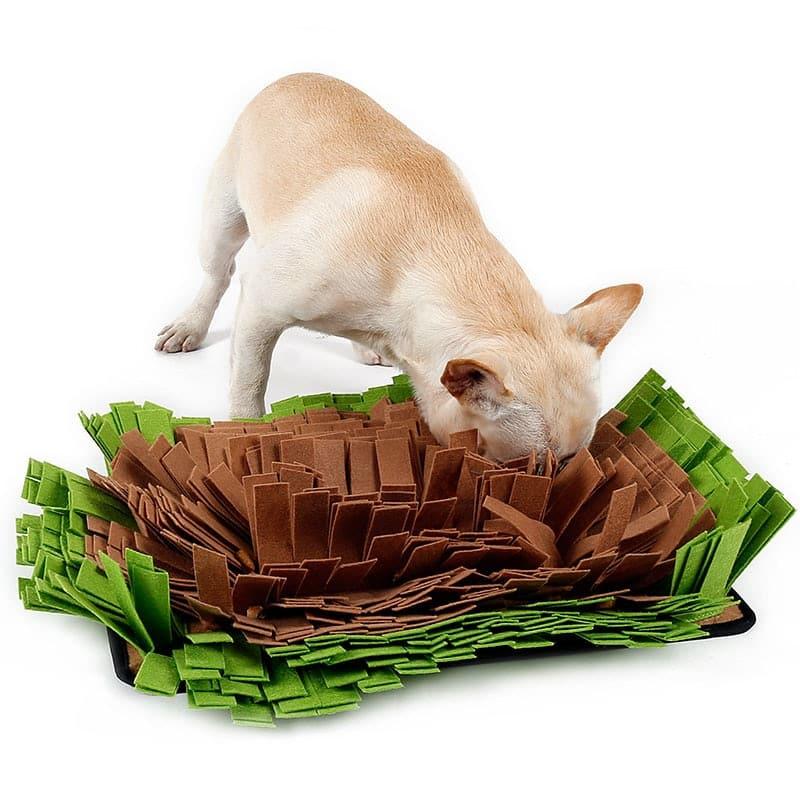 Dog's Sniffing Mat - Trendha