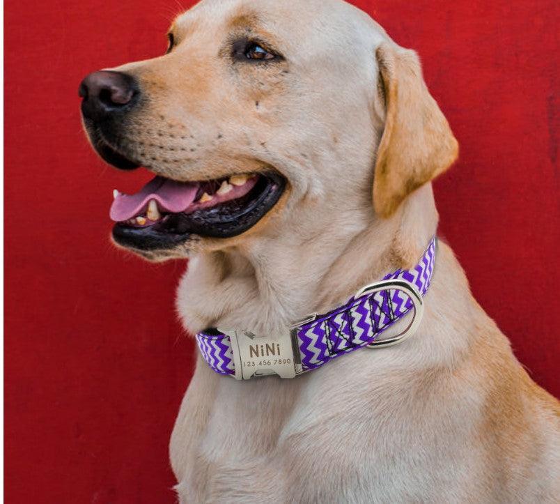 Dog's Zig Zag Pattern Collar - Trendha