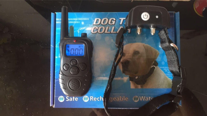 Dog Training Collar with Remote Controller - Trendha