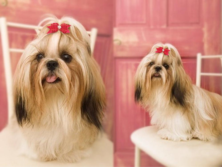 Dogs' Hair Bows with Rubber Bands - Trendha
