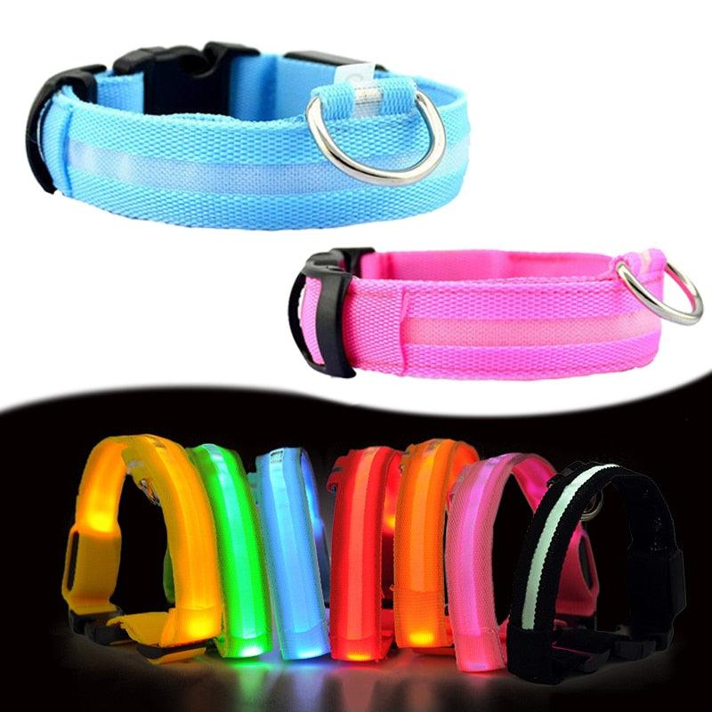 Dogs Nylon LED Collar - Trendha