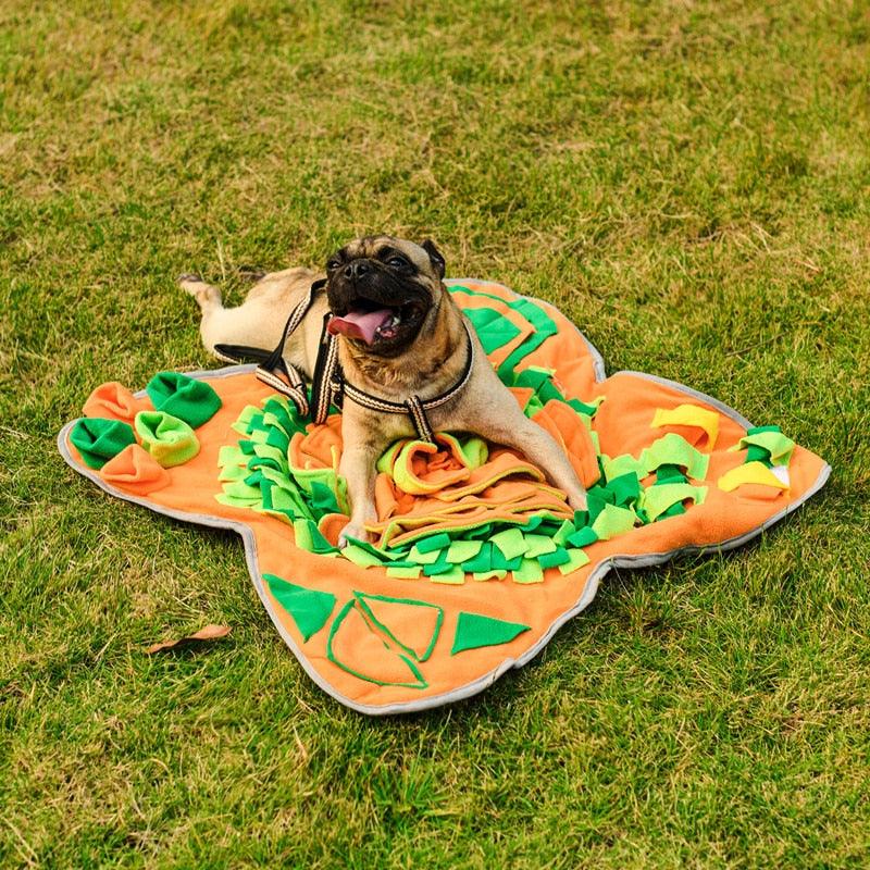 Dogs Snuffle Play Mat - Trendha