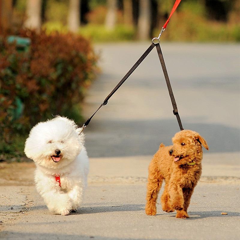 Double Twin Walking Leash - Trendha