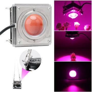60W 144 LED COB Grow Light Full Spectrum 380-800nm Hydroponic Veg Plant Lamp - Trendha
