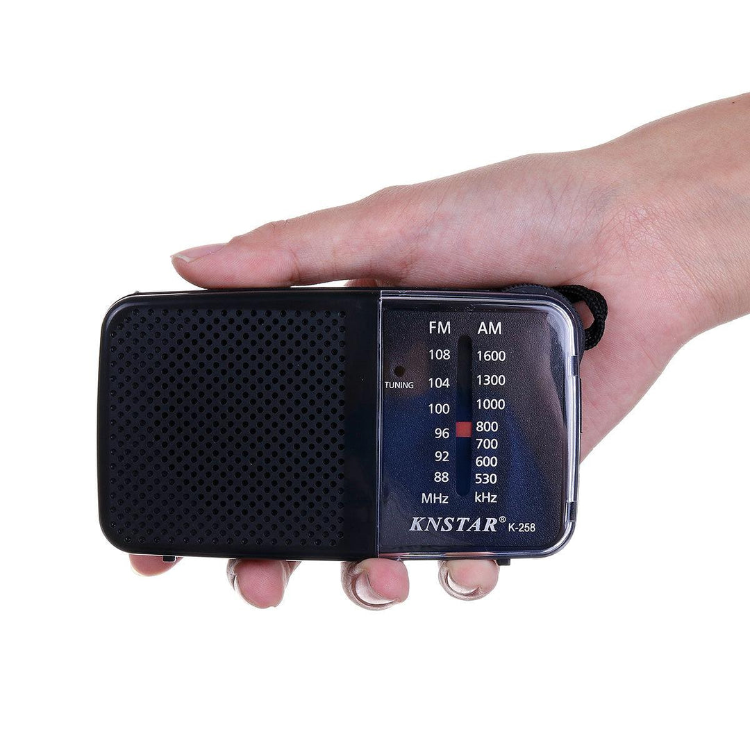 88-108MHz FM 530-1600KHz AM 2 Bands Radio Receiver for Elder - Trendha