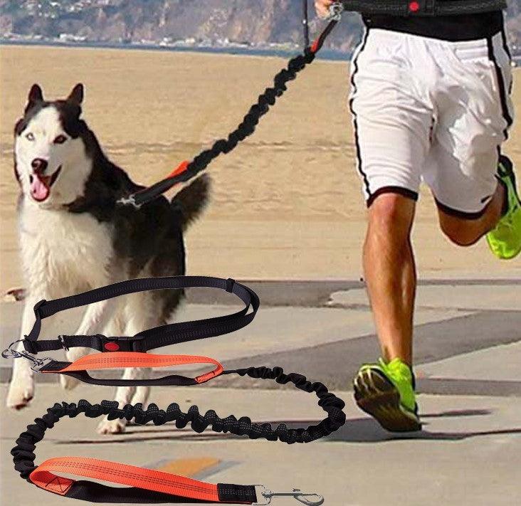 Elastic Dog's Leash with Waist Rope - Trendha