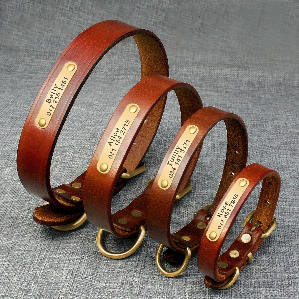 Elegant Genuine Leather Collar - Trendha