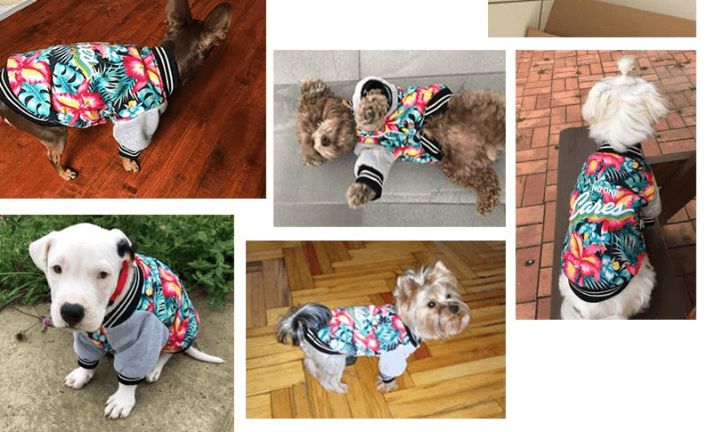 Fancy Jacket for Small Dogs - Trendha