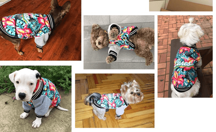 Fancy Jacket for Small Dogs - Trendha