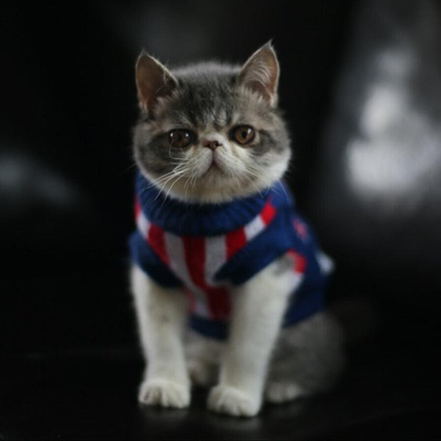 Fashion Acrylic Sweaters For Cats - Trendha
