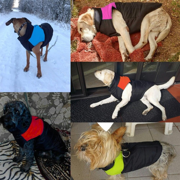 Fashion Waterproof Winter Dog's Vest - Trendha