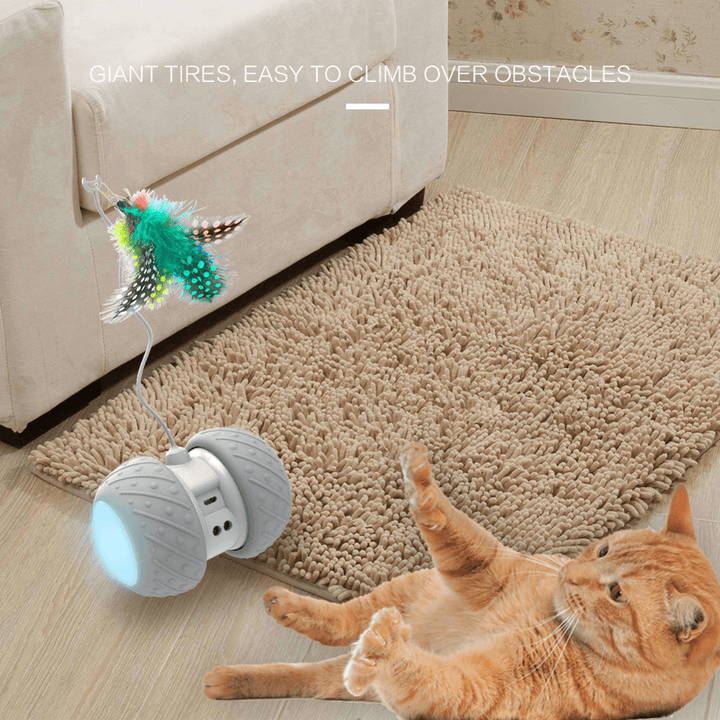 Feather Decorated Interactive Cat Toy - Trendha