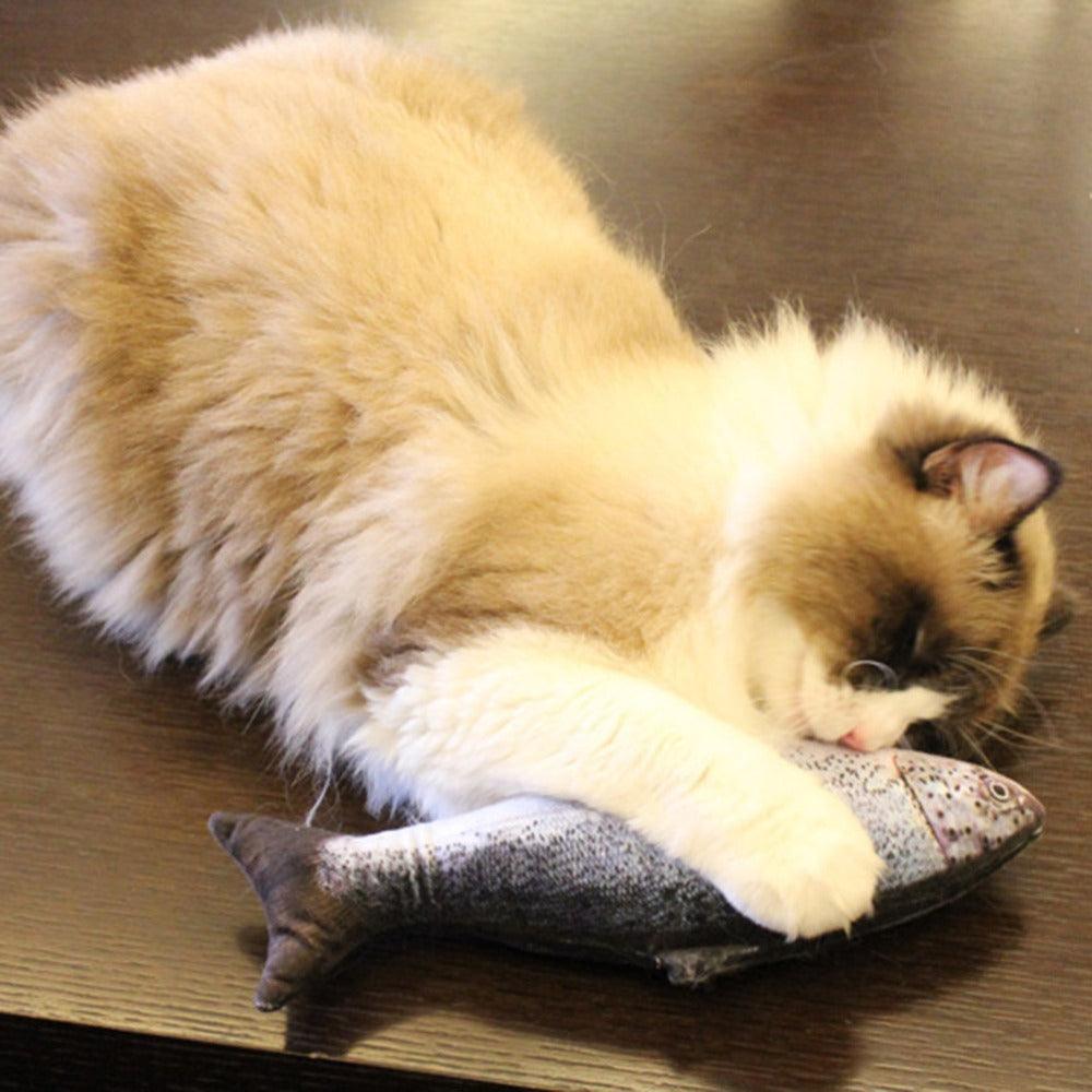 Fish Stuffed Toy for Pets - Trendha