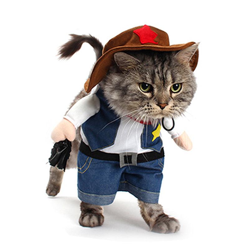 Funny Costume a Cowboy for Cat