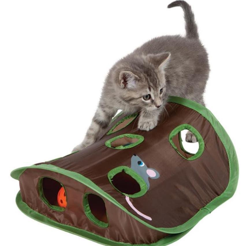 Hidden Mouse Hunting Toy for Cats - Trendha