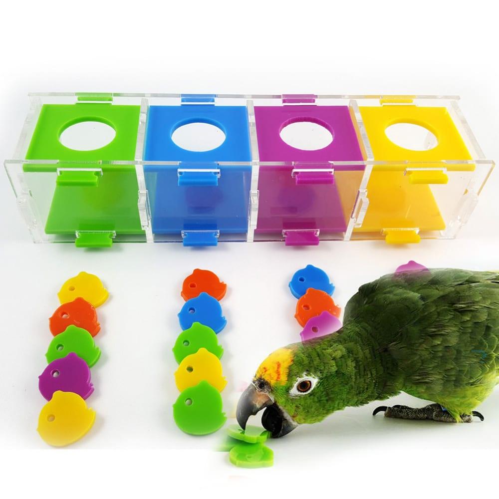 Intellectual Training Toy for Parrots - Trendha