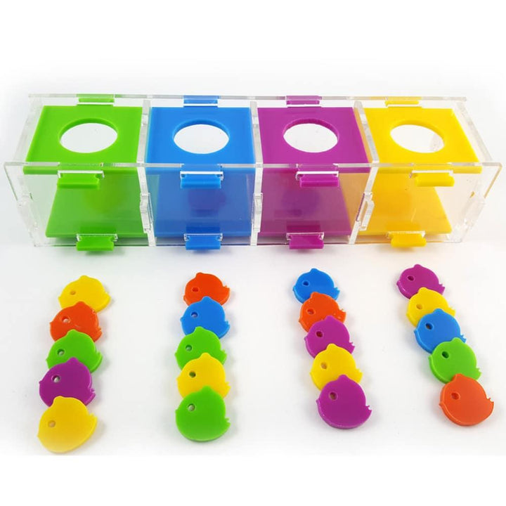 Intellectual Training Toy for Parrots - Trendha