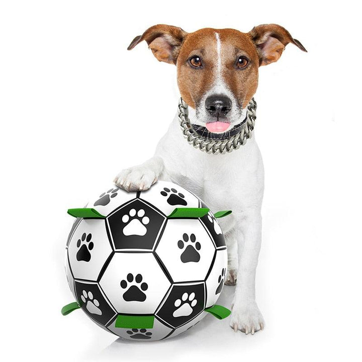 Interactive Dog Football Toy - Trendha