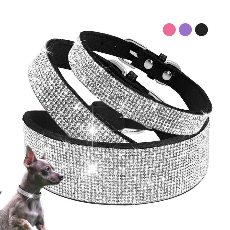 Luxury Rhinestone Leather Pets Collar - Trendha