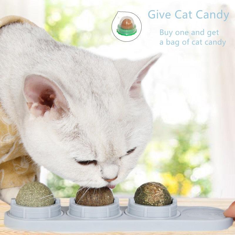 Natural Catnip Kit - Trendha