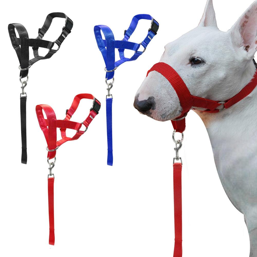 Nylon Adjustable Dog's Muzzle with Leash - Trendha