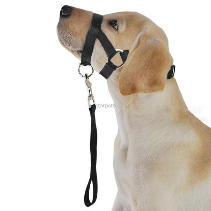 Nylon Adjustable Dog's Muzzle with Leash - Trendha