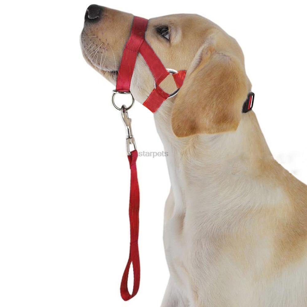 Nylon Adjustable Dog's Muzzle with Leash - Trendha