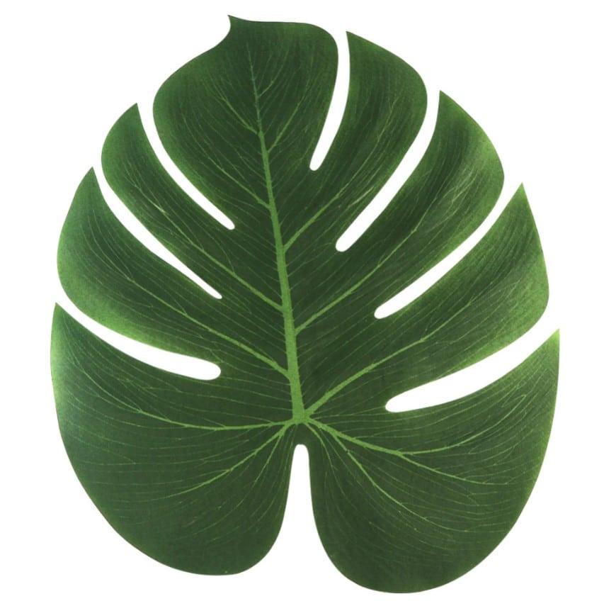 Palm Leave Placemat 12 Pcs Set - Trendha