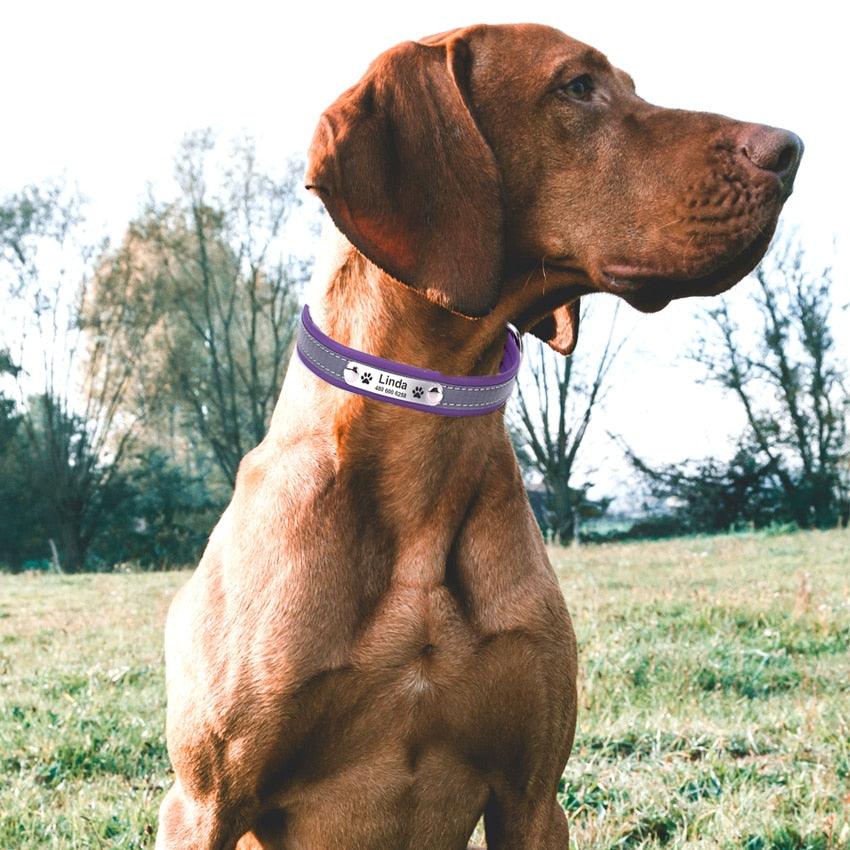 Personalized Reflective Dog Collar - Trendha