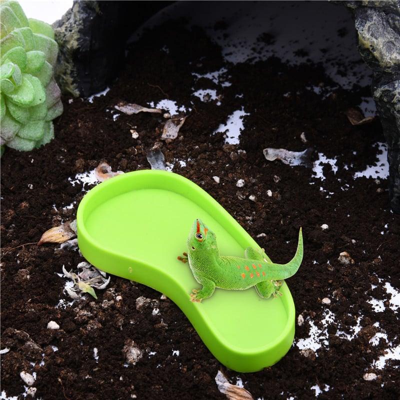 Plastic Bowl For Feeding Reptiles - Trendha