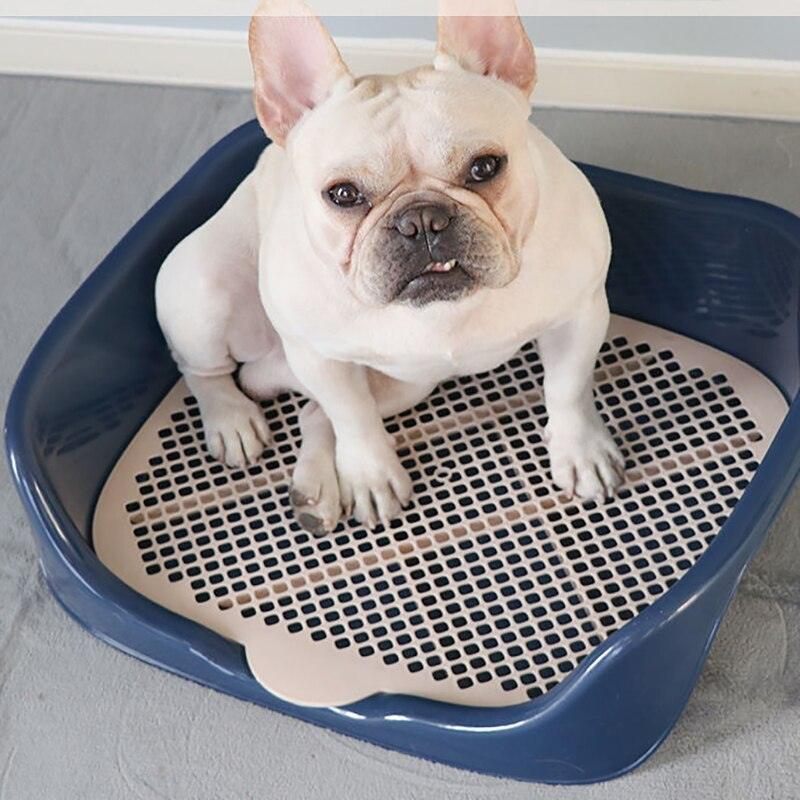 Portable Training Litter Box - Trendha