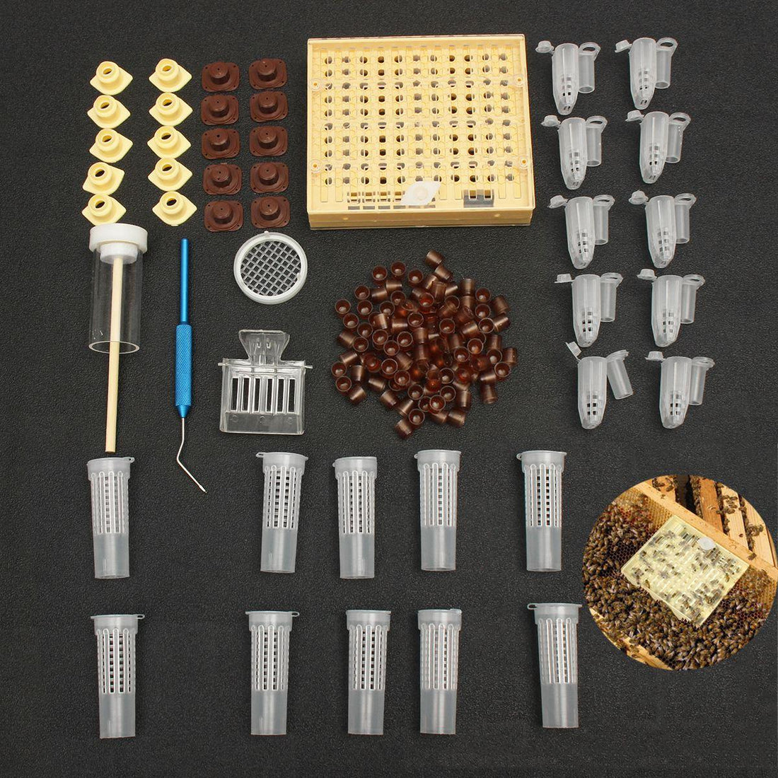Queen Rearing Cultivating Catching 155 pcs Kit