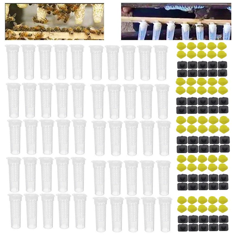 Queen Rearing Kit 50 pcs Set Cages Cups - Trendha