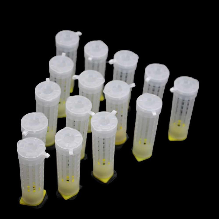 Queen Rearing Kit 50 pcs Set Cages Cups - Trendha