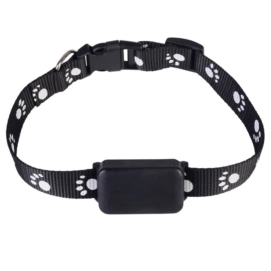 Real-Time GPS Tracker For Pets - Trendha