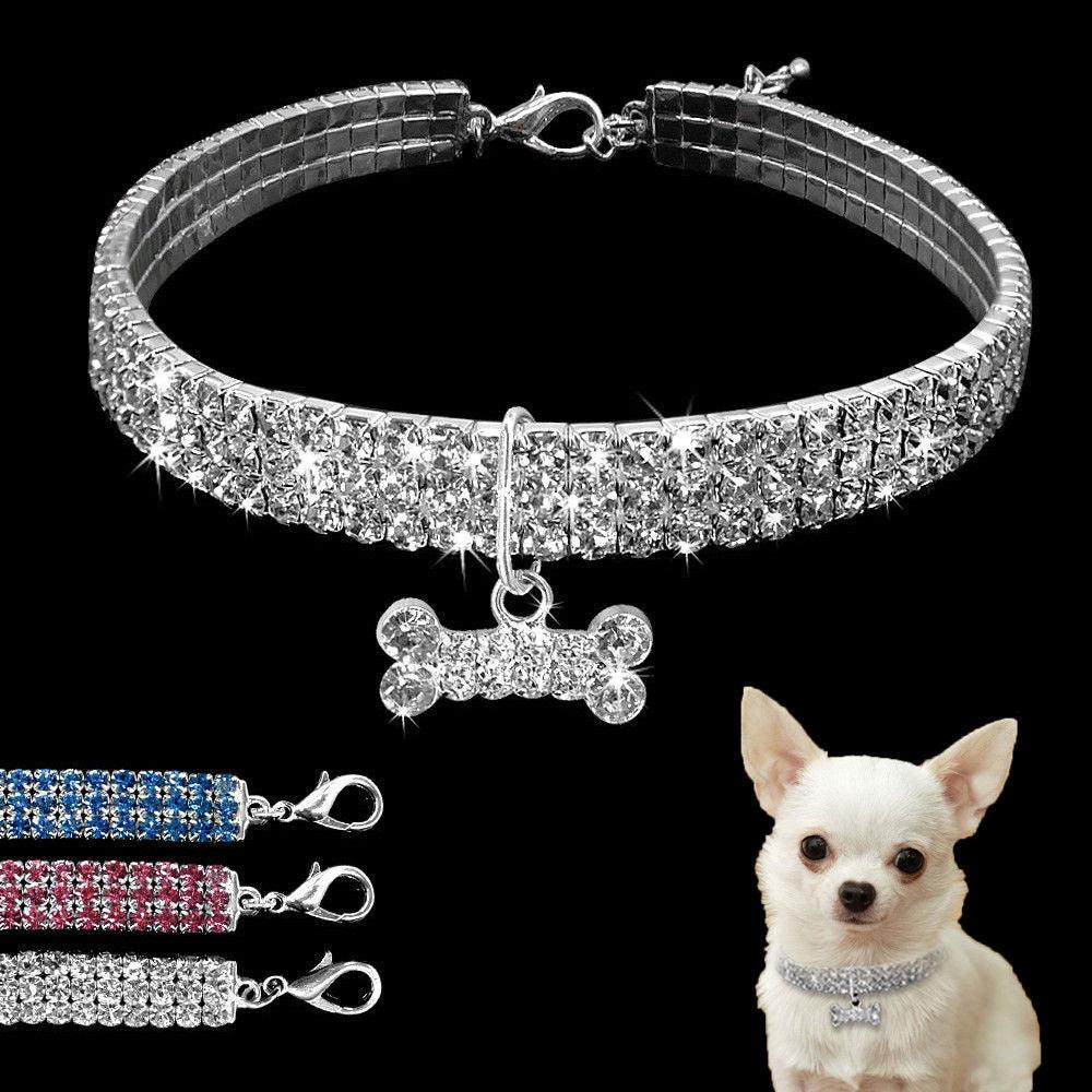 Shiny Crystal Collar for Small Dogs - Trendha