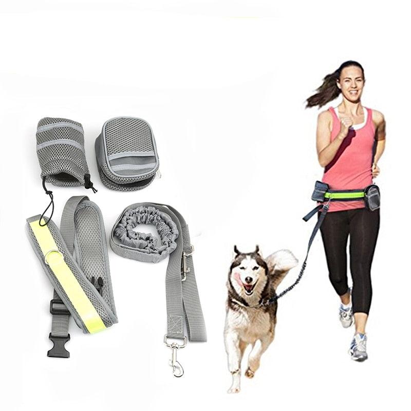 "Shop Now: Elastic Running Leash and Collar Set for Dogs" - Trendha