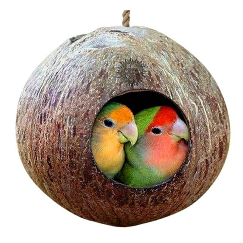 Small Bird Nesting House