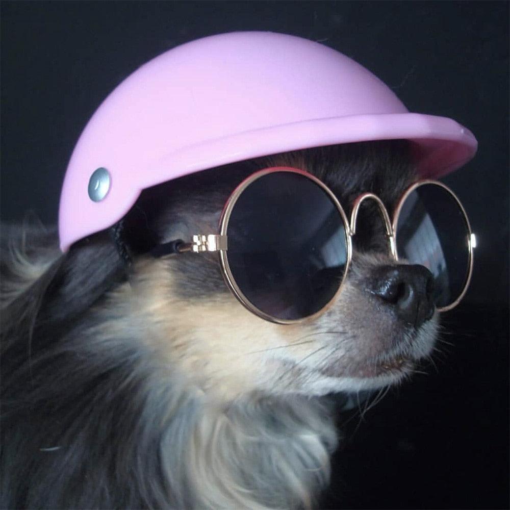 Small Pet Helmet and Sunglasses