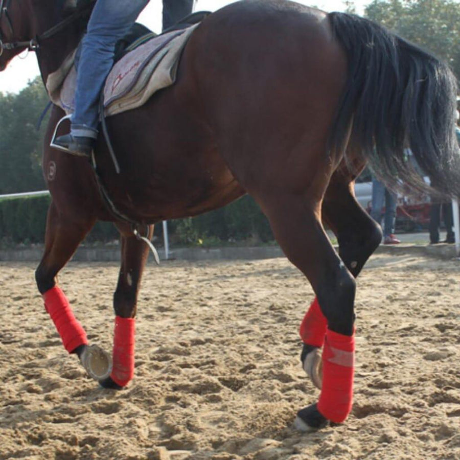 Soft Fleece Horse Leg Bandage - Trendha