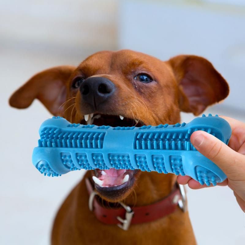 Soft Silicone Bone-Shaped Dog Toothbrush - Trendha