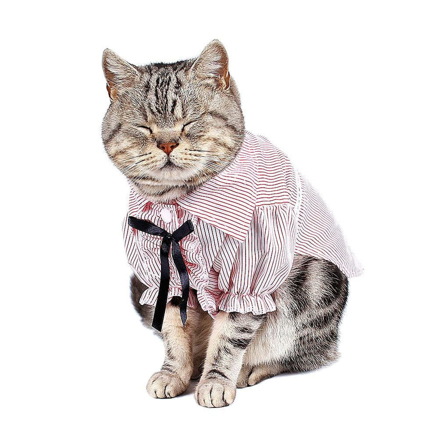 Stripped Cat's Clothes in Blue and Pink - Trendha