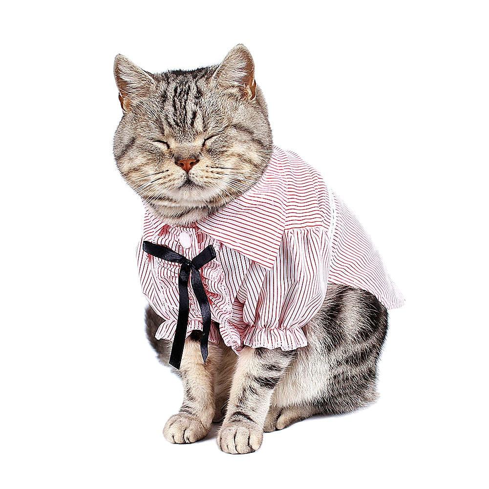 Stripped Cat's Clothes in Blue and Pink