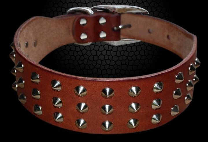 Studded Leather Dog Collar with Rock Style Design - Perfect for Fashionable Dogs - Trendha