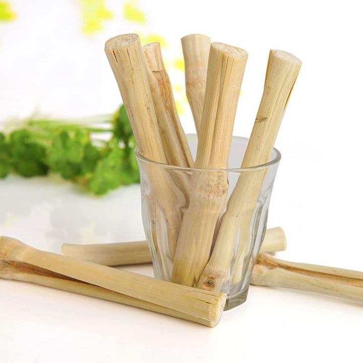 Sweet Bamboo Sticks For Small Pets - Trendha